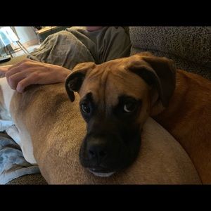 Meet your Posher, Michele